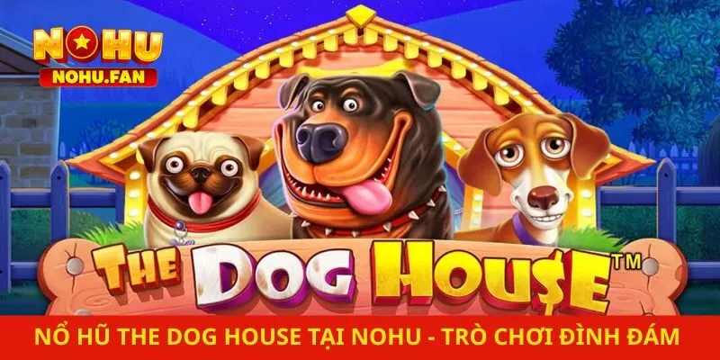 Nổ Hũ The Dog House Tại Nohu – Trò Chơi Đình Đám Trong 2026