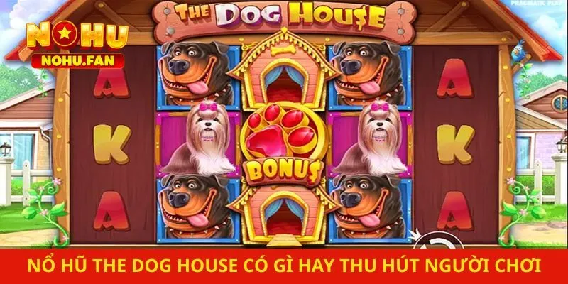 Nổ hũ The Dog House tại Nohu có gì hay thu hút người chơi