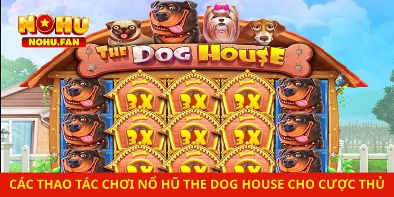 Các thao tác chơi nổ hũ The Dog House cho cược thủ